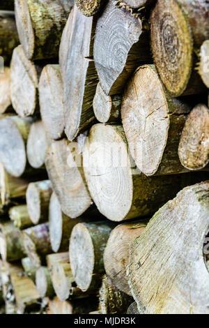 Close-up view of weathered logs of various size and shape stacked outdoors with a shallow depth of field. Stock Photo