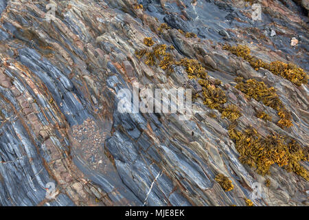 French Cliff Coast Of The Armorican Massif Stock Photo - Alamy