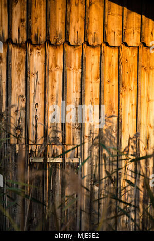 Autumn mood on the lake, reed in front of the barn, detail Stock Photo