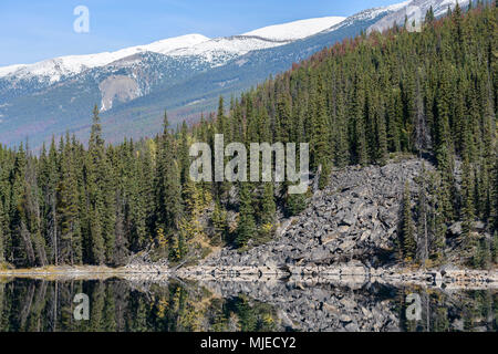 Jasper National Park, Horseshoe Lake, Alberta, boulders, stones, slope, destruction, landslide, landslip, forest, Rocky Mountains Stock Photo