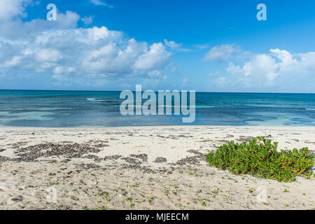Lonely beach in Grand Turk, Turks and Caicos Stock Photo