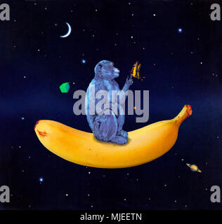 monkey and butterfly on banana floating in space Stock Photo