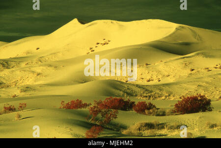 Sand Dunes in Death Valley Caifornia Stock Photo