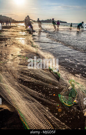 Beach Seine fishermen haul their nets onto Uppuveli beach on the