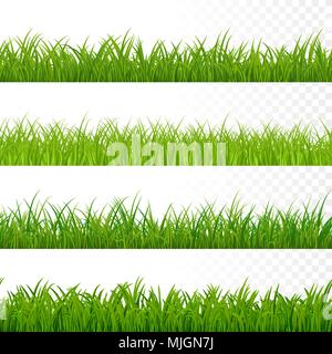 Seamless gorisontal grass border. Green grass pattern. Grass texture elements. Vector illustration isolated on white Stock Vector