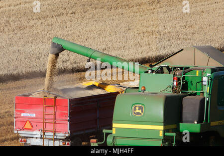 Botkyrka, Sweden - August 24, 2016: A green John Deere harvester drains the container for the torn seed to a tractor trailer. Stock Photo