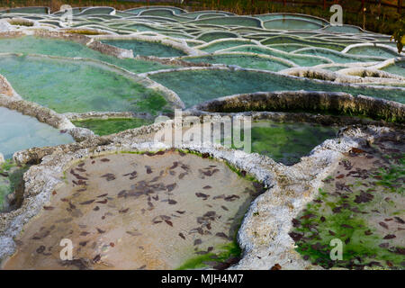 Mineral terraces with curative water in Egerszalok thermal spa, Hungary Stock Photo
