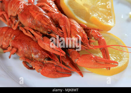 lobsters on dish with lemon slices Stock Photo