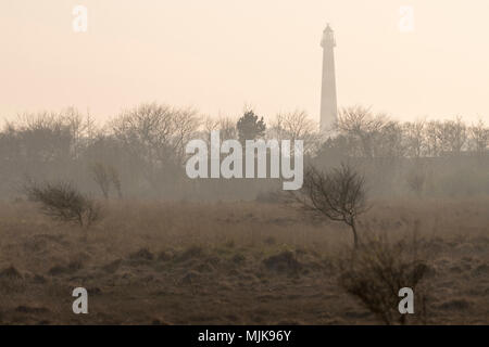 Abstract photo of the lighthouse of the island Ameland in the evening sun with a nature reserve on the foreground Stock Photo