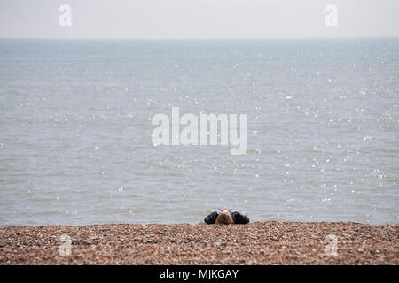Young female relaxing on  in front of calm sea, Brighton, Sussex, Uk Stock Photo