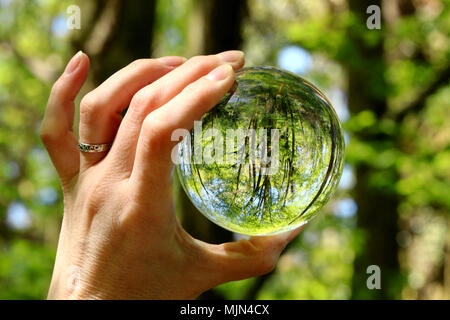 an abstract shot of crystal ball refraction showing an upside down miniature version of trees in a forest Stock Photo