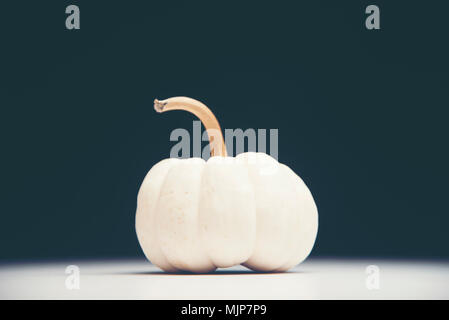 white pumpkin isolated on black background Stock Photo