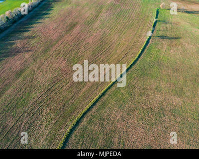 Plowed field in the Roman countryside Stock Photo