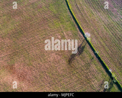 Aerial view of a plowed field in Italy Stock Photo