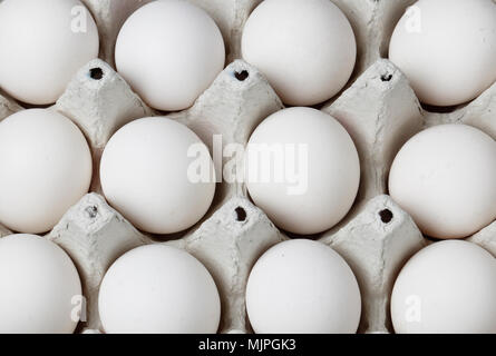 Close up of twelve hen eggs in a carton. Stock Photo