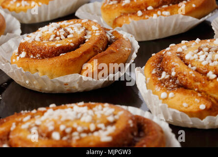 Close-up of cinnamon buns in tins of greaseproof paper on a baking tray. Stock Photo