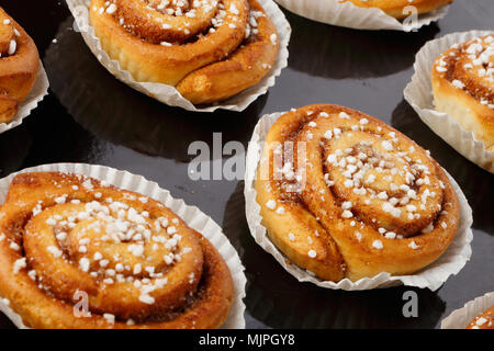 Close-up of baked cinnamon buns in tins of graeseproof paper on a baking tray. Stock Photo