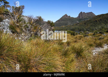 Cradle Mountain, a popular Tasmanian tourist destination, with Dove Lake in the foreground and alpine vegetation Stock Photo