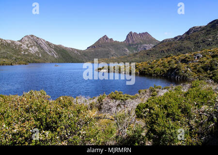 Cradle Mountain, a popular Tasmanian tourist destination, with Dove Lake in the foreground and alpine vegetation Stock Photo