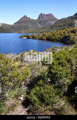 Cradle Mountain, a popular Tasmanian tourist destination, with Dove Lake in the foreground and alpine vegetation Stock Photo