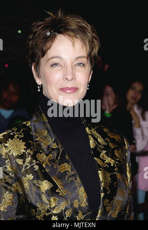 Nov 08, 2000; Los Angeles, CA, USA;  Dr. Seuss' How The Grinch Stole Christmas 1e was held at the Universal Amphitheatre in Los Angeles  Quinlan.Kathleen.03.JPGQuinlan.Kathleen.03  Event in Hollywood Life - California,  Red Carpet Event, Vertical, USA, Film Industry, Celebrities,  Photography, Bestof, Arts Culture and Entertainment, Topix Celebrities fashion /  from the Red Carpet-1994-2000, one person, Vertical, Best of, Hollywood Life, Event in Hollywood Life - California,  Red Carpet and backstage, USA, Film Industry, Celebrities,  movie celebrities, TV celebrities, Music celebrities, Photo Stock Photo