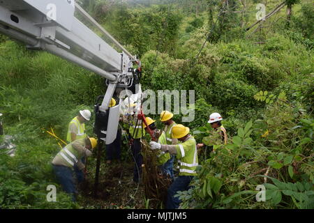 U.S. Army Corps of Engineers Task Force Power Restoration is a federal disaster response mission addressing electrical grid damage in Puerto Rico following Hurricanes Irma and Maria in 2017. The archival image documents contracted crews installing and stabilizing utility poles and anchors in Cidra during extended outage recovery operations. Stock Photo