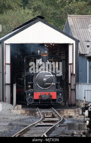 Welshpool and Llanfair locomotive, The Earl, in its engine shed, near Welshpool,Powys Stock Photo