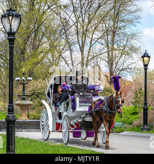 New York, USA - Tourists get a sightseeing ride through New York's Central Park in a traditional horse carriage.  Photo by Enrique Shore Stock Photo