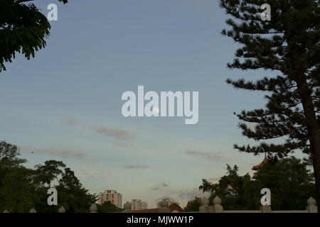 Clear sky during evening with moon and trees Stock Photo
