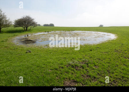 Dew pond pool of water on top of chalk down grassland, Vale of Pewsey, Wiltshire, England, UK Stock Photo