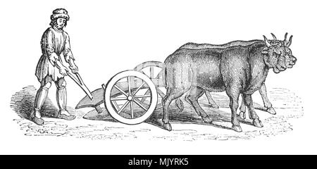 A 15th/16th Century two wheeled plough used to produced a deep furrow and turn the earth after it had been cut by the coulter and share.  Pulled by a pair of oxen, a wheeled plough enabled the ploughing depth to be controlled. However, in wet weather the wheels became clogged up with mud and was therefore difficult to use. Wheeled ploughs were mainly used on sandy soils and rarely in heavy clay areas, where moulboard ploughs were popular. Stock Photo