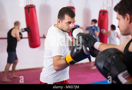 Portrait of young concentrated sportsmen competing in boxing gloves Stock Photo