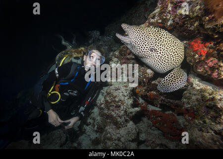 Female scuba diver looks at Honeycomb Moray (Gymnothorax favagineus) in the night Stock Photo