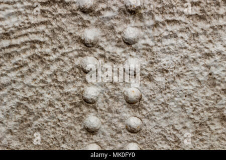 Steel rivets covered with hoarfrost, background, close-up Stock Photo