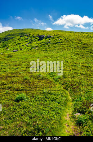 Footpath Through The Grassy Hills Of The Mountain. Beautiful Summer 