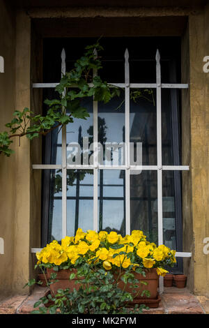 Bibbona, Leghorn, Italy - April 2018 the medieval village of Bibbona in Tuscany, window with railing and flowers to the balcony Stock Photo