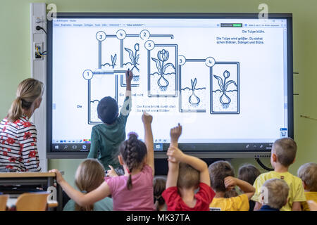 interactive whiteboard in primary school classroom Stock Photo - Alamy