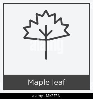 Maple leaf icon isolated on white background with gray frame, sign and symbol Stock Vector