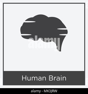 Human Brain icon isolated on white background with gray frame, sign and symbol Stock Vector