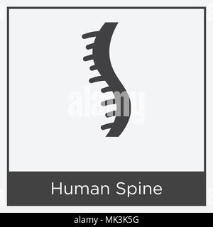 Human Spine icon isolated on white background with gray frame, sign and symbol Stock Vector