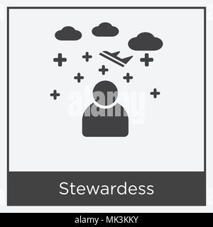 Stewardess icon isolated on white background with gray frame, sign and symbol Stock Vector