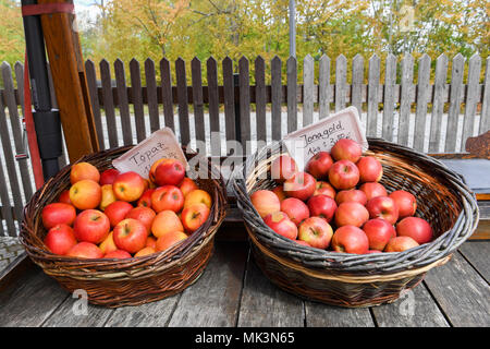 Two wicker baskets filled with jonegold and topaz apples are displayed on a wooden table outdoors, Stock Photo