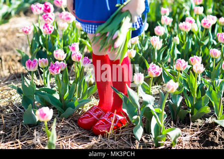 Child in tulip flower field with windmill in Holland. Little Dutch girl in traditional national costume, wooden clogs, dress and hat, with flower bask Stock Photo