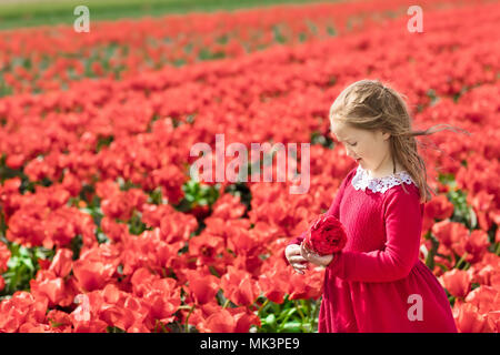 Child in red flower field. Poppy and tulip flowers garden. Little Dutch girl in tulips farm in Holland. Blooming poppy flowers for Remembrance Day. Ki Stock Photo