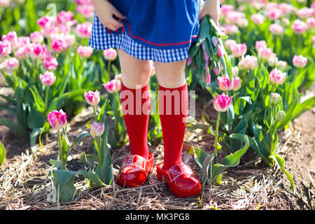 Child in tulip flower field with windmill in Holland. Little Dutch girl in traditional national costume, wooden clogs, dress and hat, with flower bask Stock Photo