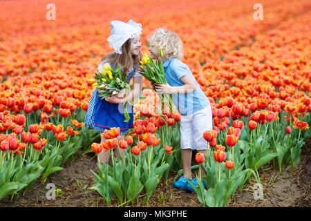 Children in tulip flower field with windmill in Holland. Little Dutch girl and boy in traditional national costume, wooden clogs and hat, with flower  Stock Photo