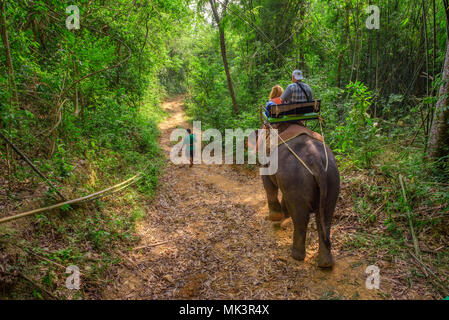 Tourists riding an elephant in Thailand Stock Photo