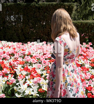 Woman matching dress with tulips in springtime Stock Photo
