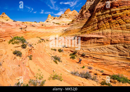 Colorful sandstone formations Cottonwood access area South Coyote Buttes Vermilion Cliffs National Monument Arizona United States of America Stock Photo