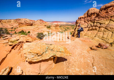 Female photographer with pack photographing colorful sandstone formations, South Coyote Buttes area, Vermilion Cliffs National Monument, Arizona Stock Photo